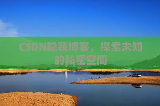 CSDN隐藏博客，探索未知的私密空间
